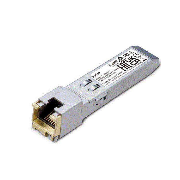 10GBASE-T RJ45 SFP+ Module 10GBASE-T RJ45 SFP+ Module