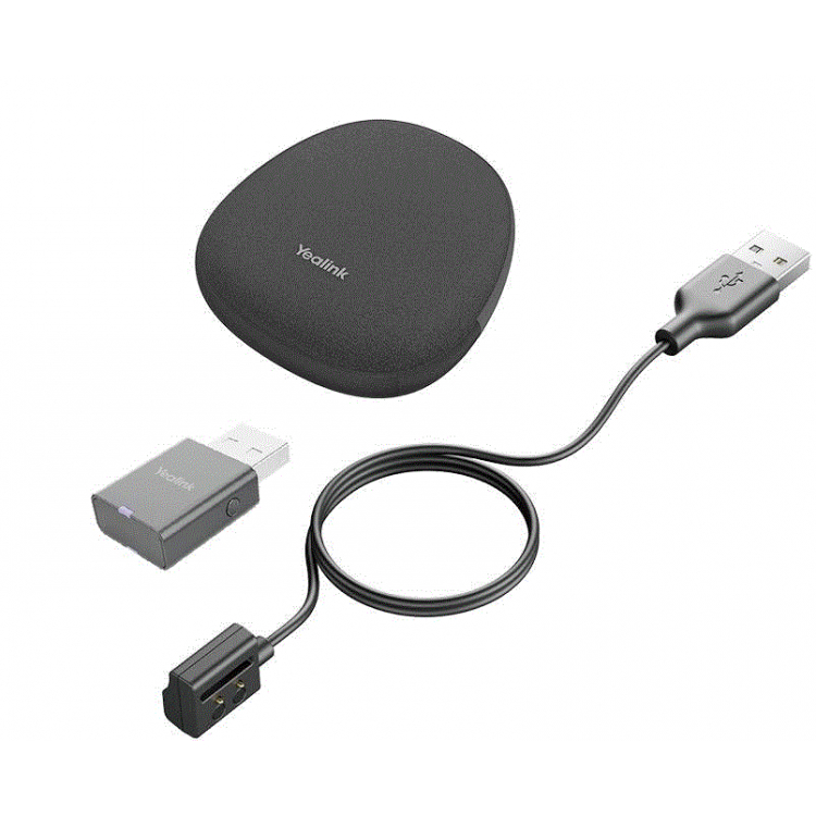 Portable accessory kit for WH62/WH66 WDD60, charging cable, carry bag Portable accessory kit for WH62/WH66 WDD60, charging cable, carry bag