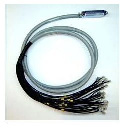 10-50TELCO/24RJ45-6 