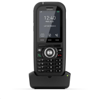 Snom  DECT M80