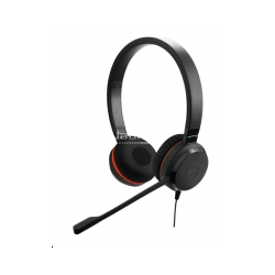 Jabra EVOLVE 30 II Duo, USB et Jack