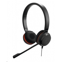 Jabra EVOLVE 30 II Duo, USB et Jack