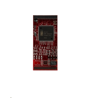 Module 1 PRI/E1 Module 1 PRI/E1
