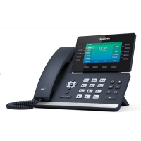 Yealink Téléphone SIP-T54W