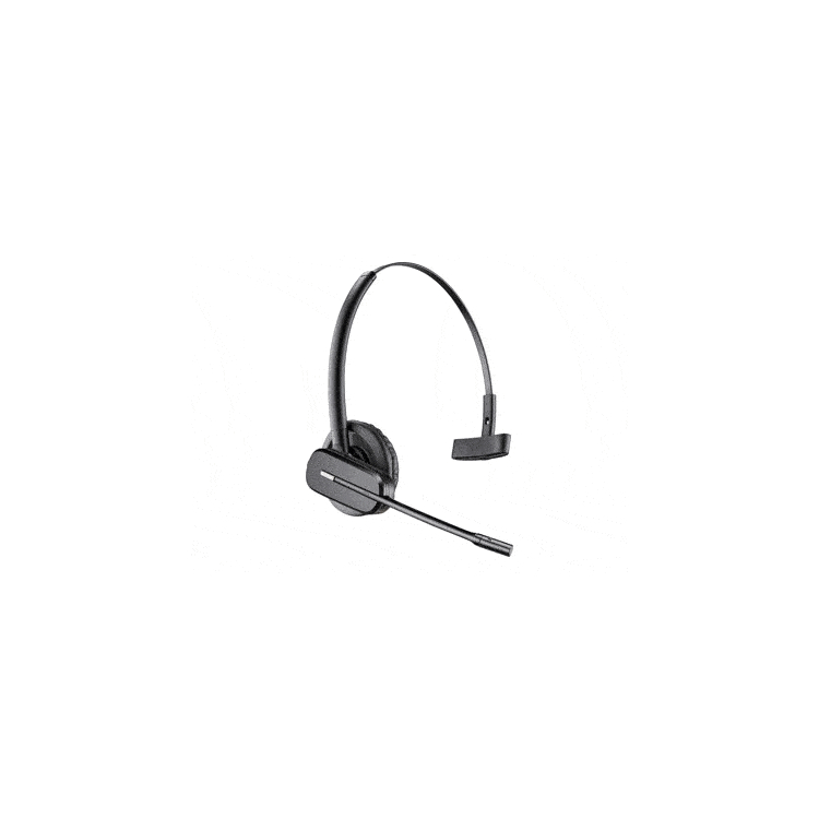 C565 RetailOreillette pour Réseaux C565 RetailOreillette pour Réseaux